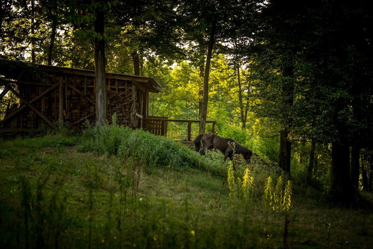 Forest Camping Mozirje Exterior foto